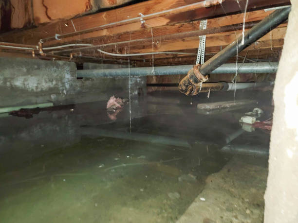 Green Level, NC Water damage restoration Company