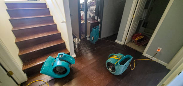 Best Water damage restoration near me  in Green Level, NC