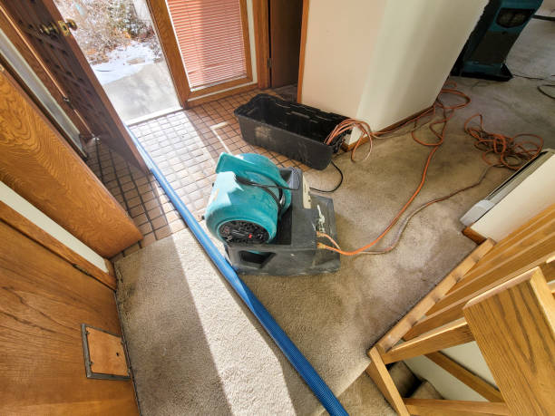 Best Basement water damage restoration  in Green Level, NC