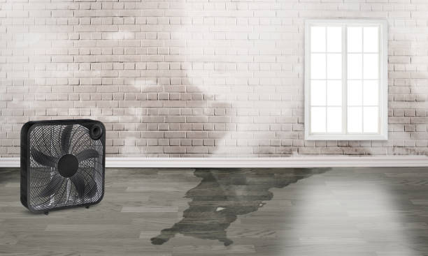 Water damage restoration experts in Green Level, NC