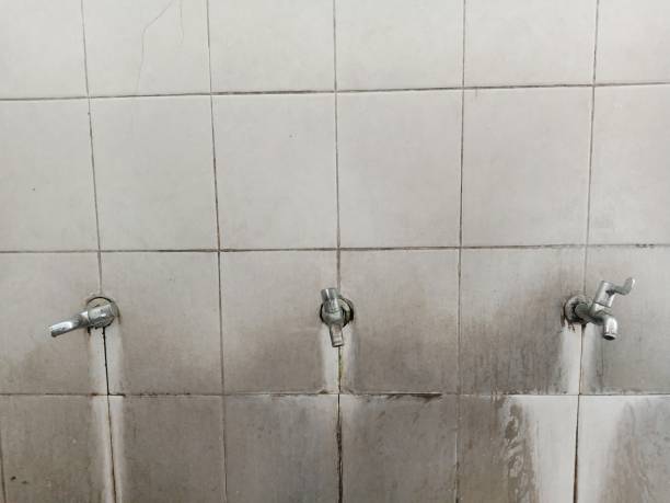 Best Flood damage cleanup  in Green Level, NC