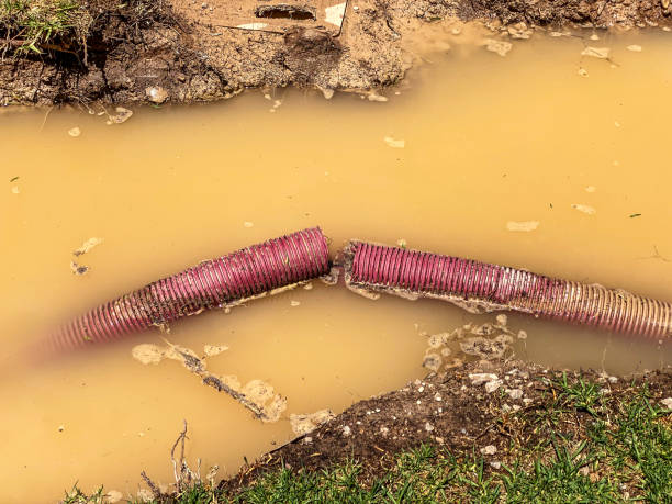 Best 24/7 water damage repair  in Green Level, NC