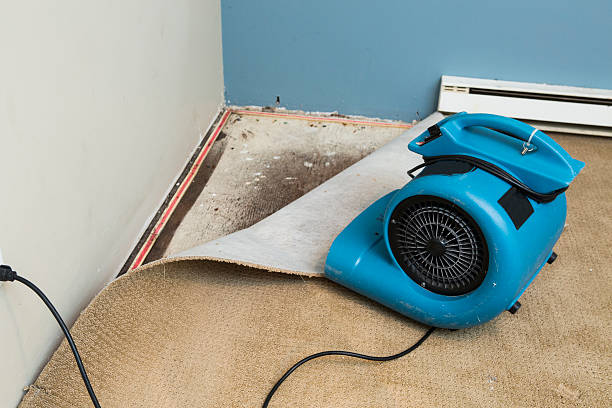 Best Flooded house restoration  in Green Level, NC